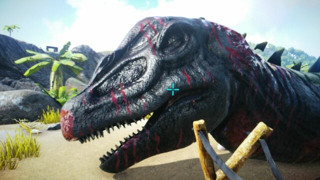 ARK #1