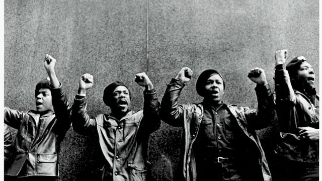 Urban Problems and the Black Panthers