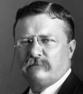 Teddy Roosevelt