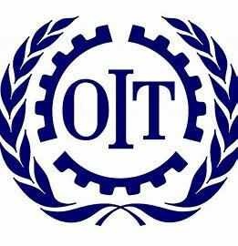 Organización Internacional del Trabajo (OIT)