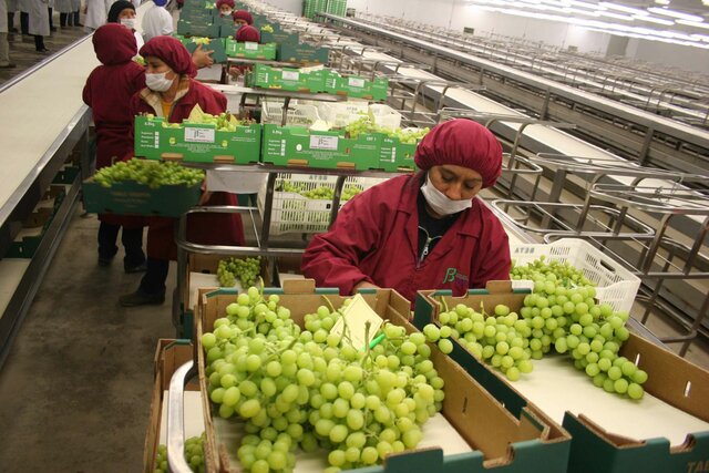 Incremento de Puestos de trabajo.