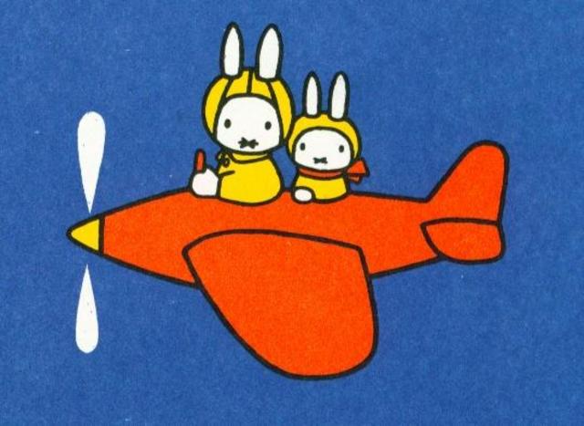 Ibu Srie - terug 12.00 : MH017