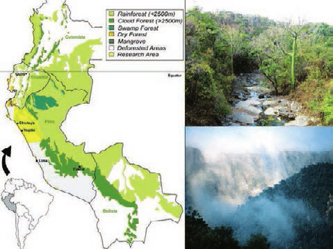 Ley de la Mancomunidad Regional