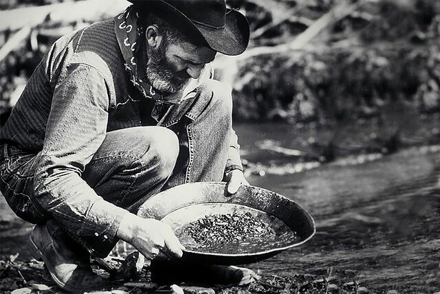 The Gold Rush