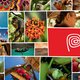 Perucountrybrand 02