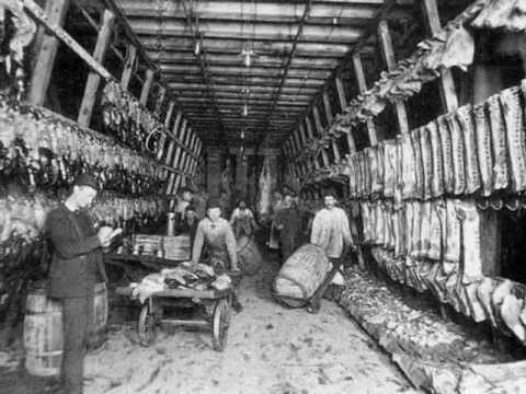 Pure Food and Drug Act, Meat Inspection Act