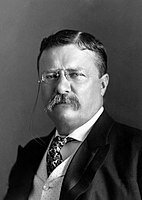 President Roosevelt was elected
