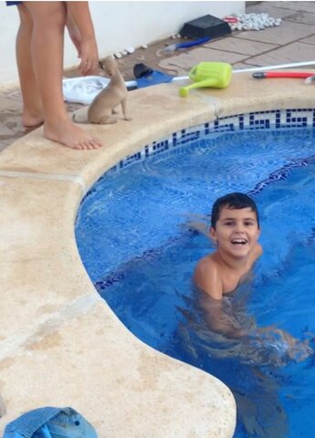 Mi primer baño con un animal