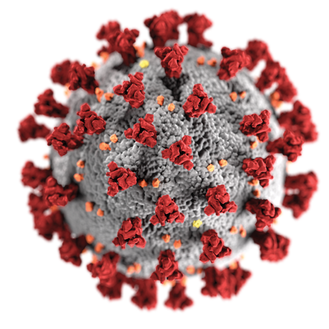 SARS-Cov2