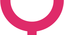 Timeline: Feminicidios