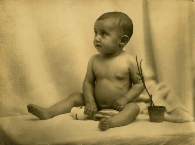 Born June 12, 1929