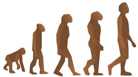 Timeline: La evolución de la tecnología