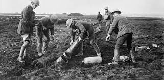 Cerca de nous aliats