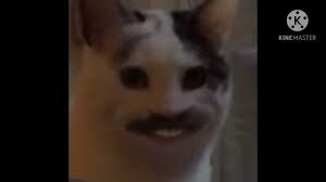 Troubled By Political Conflict