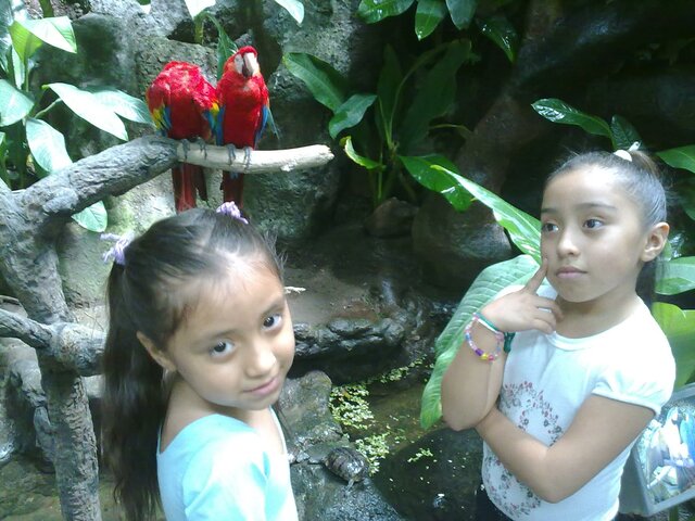 Conoci el Acurio de Veracruz