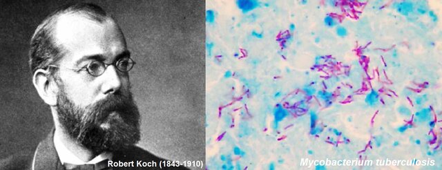 Robert Koch y su aporte a la medicina