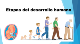Timeline: LINEA DE TIEMPO ETAPAS DEL DESARROLLO HUMANO/LAIS LEZAMA II