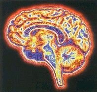 Innovación SIGLO XVIII