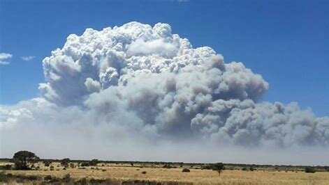 Australia Today...