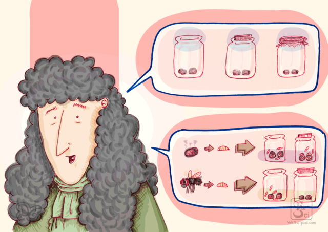 Experimentos de Francesco Redi y La Generación espontanea