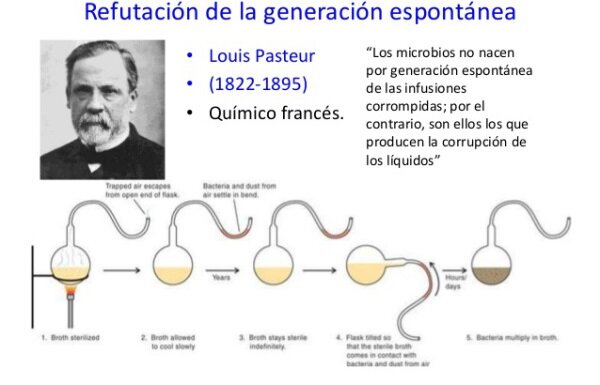 Pasteur, y el Experimento que acabo con la generación espontanea