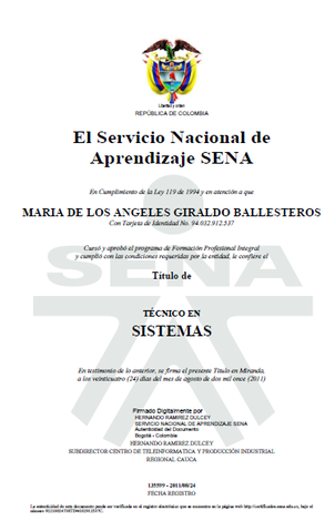 Técnico en sistemas