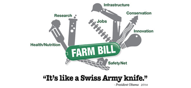 Food and Agriculture Act of 1965