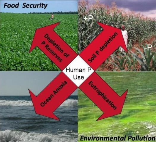 Food Security Act