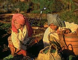 C169 Convenio sobre pueblos indígenas y tribales (OIT) Ginebra, Suiza