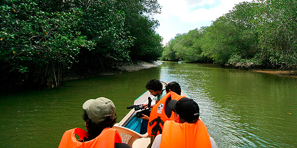 Manglares de tumbes