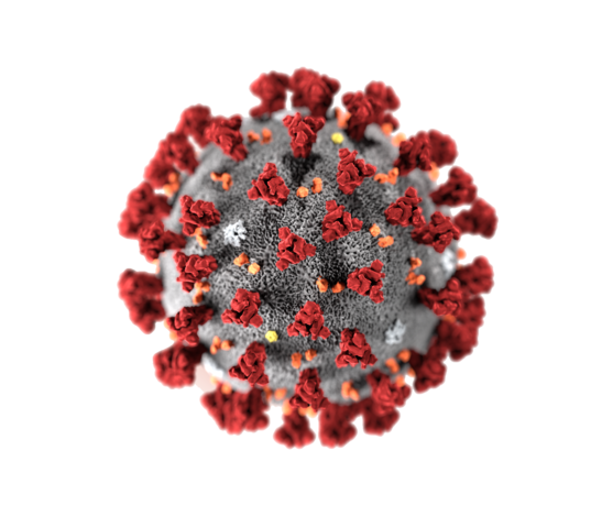 Inizio Quarantena
