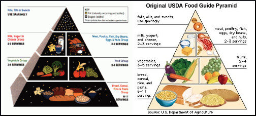 Food Guide Pyramid introduced