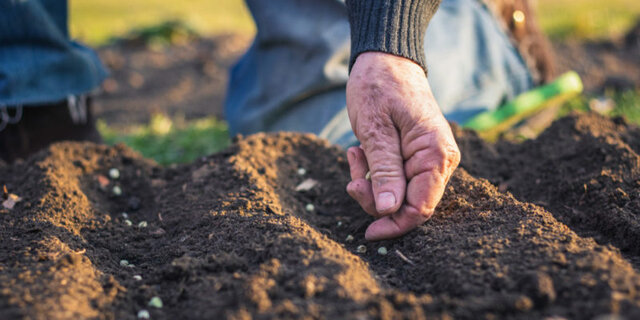 Repartición de Latifundios