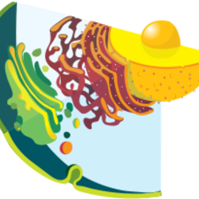 Timeline: Línea Temporal: Historia Biología Celular y Molecular