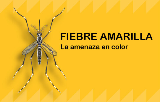 Fiebre amarilla