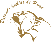 Linea del tiempo-Ángel Jair Ordaz Ayala 6° "A"