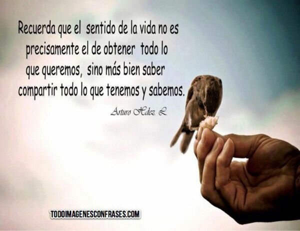 El Sentido a la vida J. Grondin