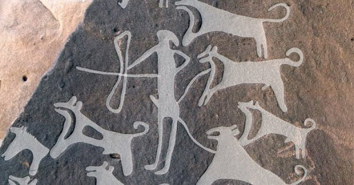 No hay representaciones de perros