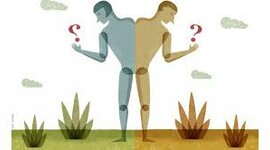 Timeline: Reconociendo mis competencias