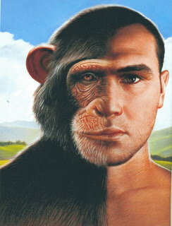 Animal Simbólico de Fernando Savater