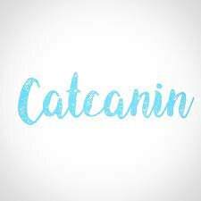 Creación de tienda de mascotas catcanin