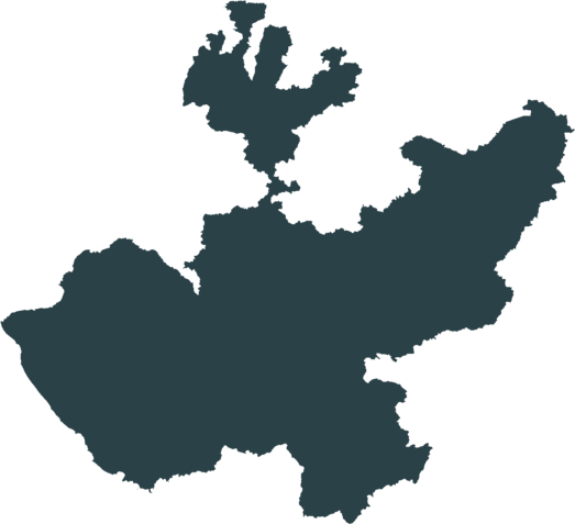 El movimiento federalista.