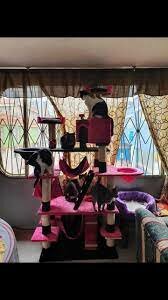 Tienda de mascotas catcanin