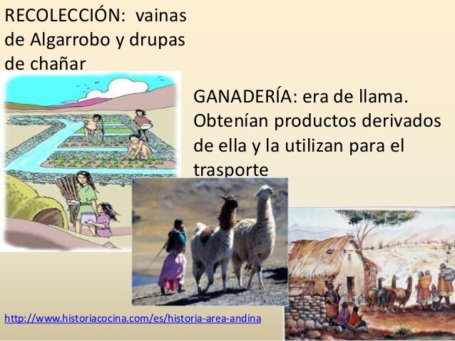 Huarpes y sus características