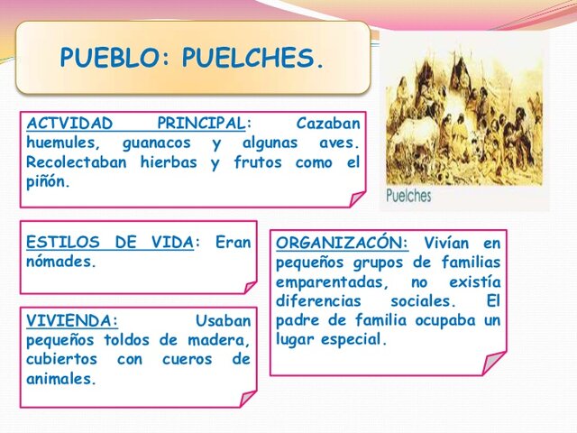 Puelches características