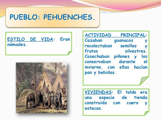 Pehuenches características