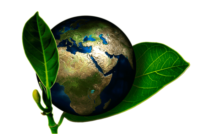 Declaración de Rio sobre el Medio Ambiente y el Desarrollo