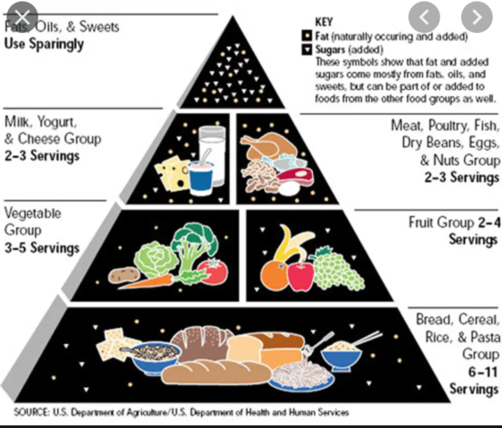Food Guide Pyramid was created