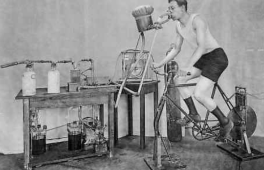 Metabolic Cart