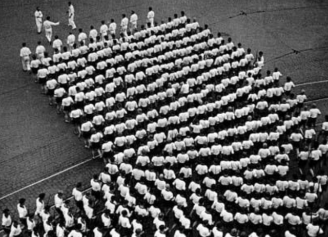 Marching column of the Dynamo Sports Club